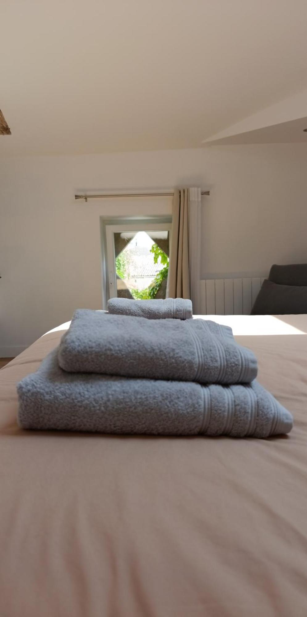 Maison Irondas Saint-Pierre-d'Aurillac Kültér fotó